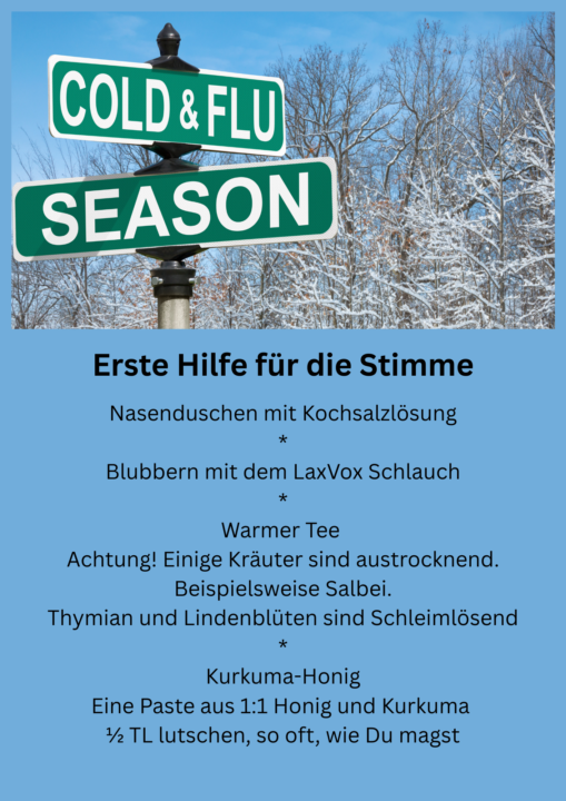 Erste Hilfe für die Stimme