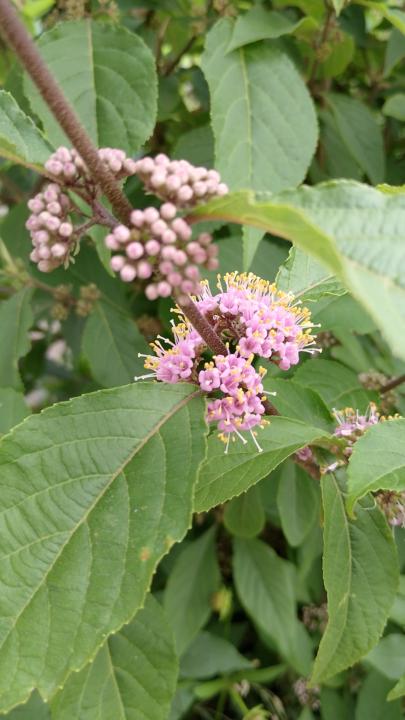 Was tut Ihr, um Geld zu verdienen? 💰