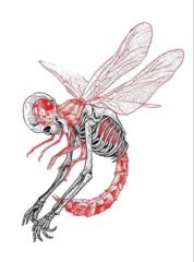 Jesus Ramirez aldana