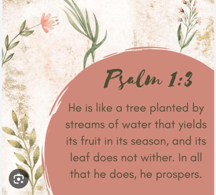 Are you thriving or just surviving? 🌿