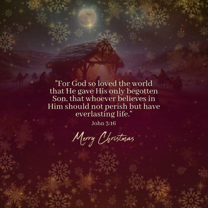 Merry Christmas Everyone❣️