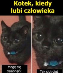 Arek Bąk