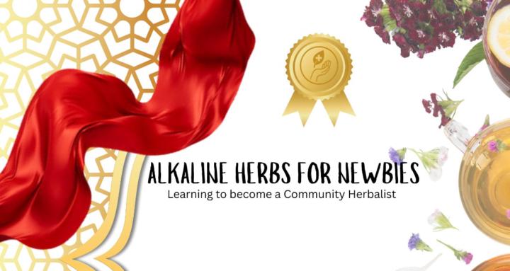 Alkaline Herbs for Newbies 