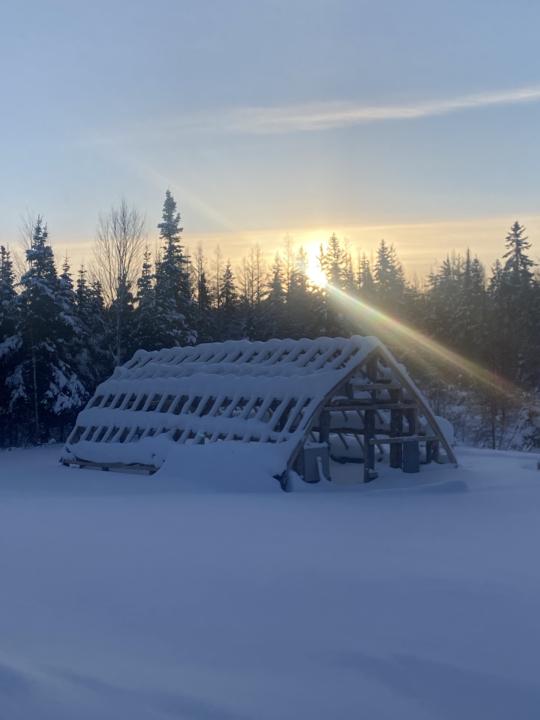 Self love month 2🌸