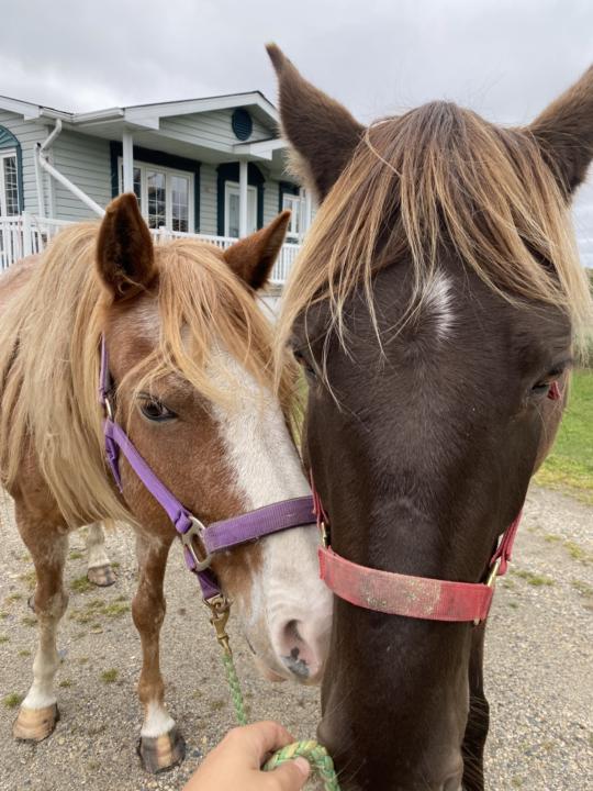 I cannot wait for winter!