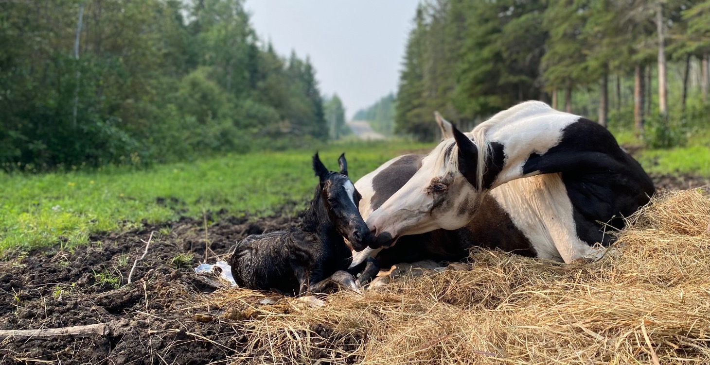 Kyte’s Training Sessions