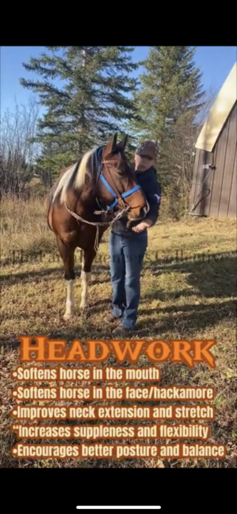 ⛔️UP IN THE CLASSROOM⛔️