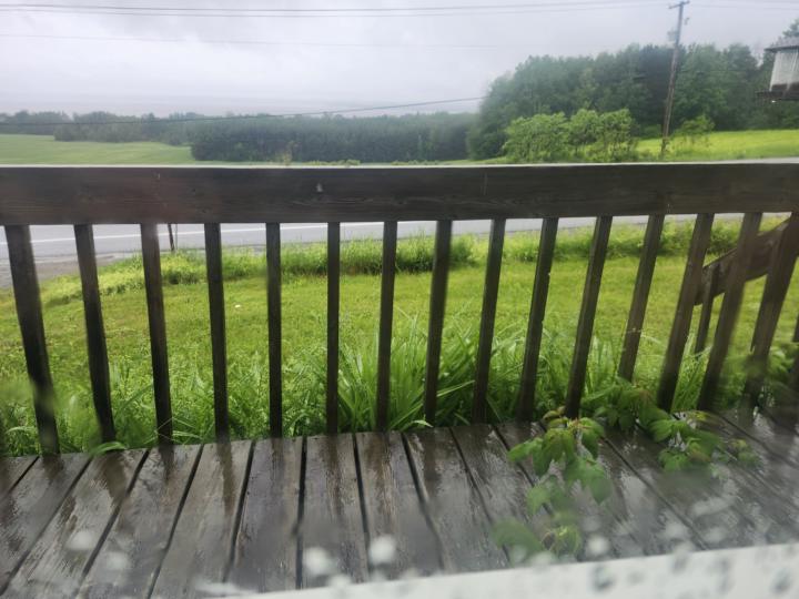 Rain Sweet Little Rain
