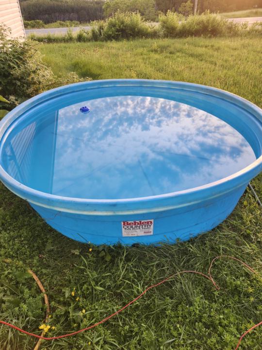 When life gives you a heatwave 