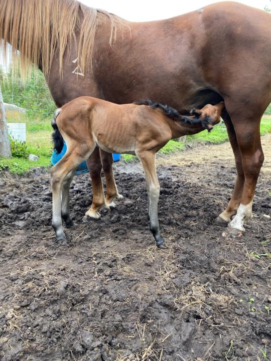 Baby #3!