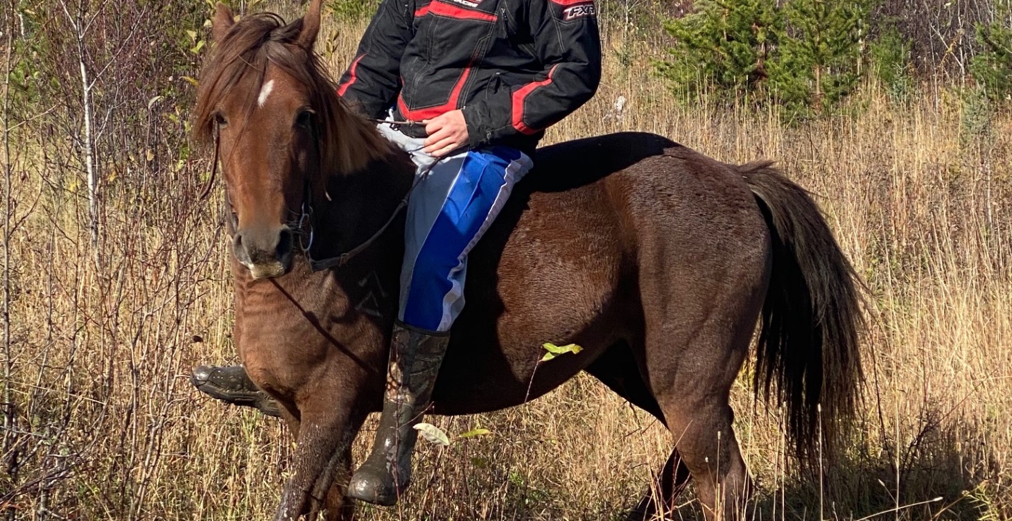 Horse owners ultimate go-to guide