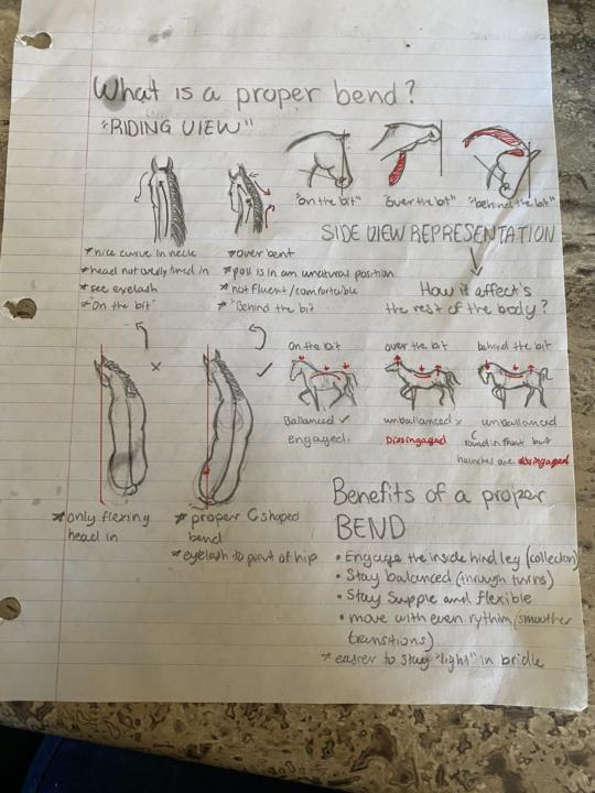 Let’s talk • Bend • 🎠