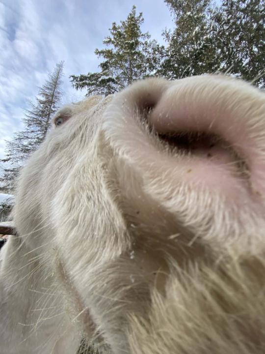 Networking Cancelled this week