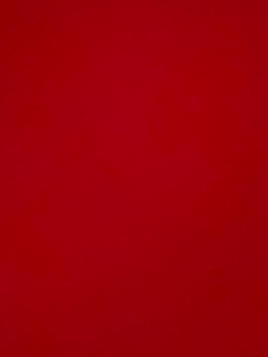 Alessandro Di Stefano