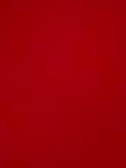 Alessandro Di Stefano