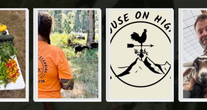 Little House Homestead