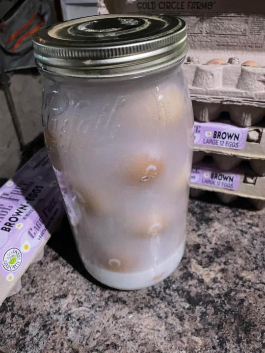 Water canning farm fresh eggs