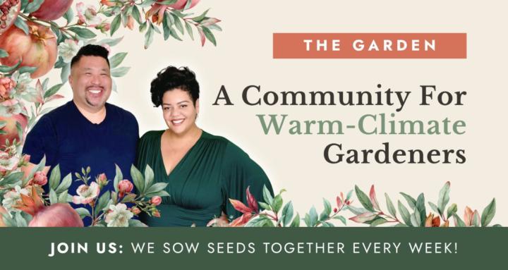 The Garden