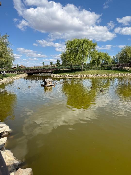 Соня Трифонова