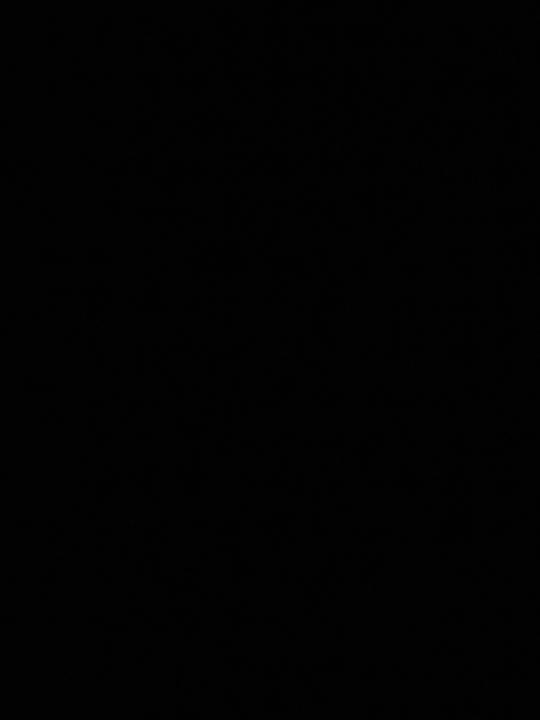 Steve Kurniawan Halim