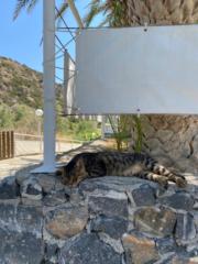 Cristina Aurelina Cornelio De Condemi