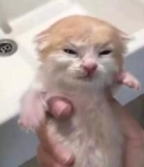 N M