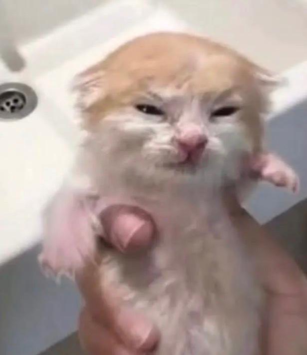 N M