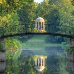 Sharon Italia Campos