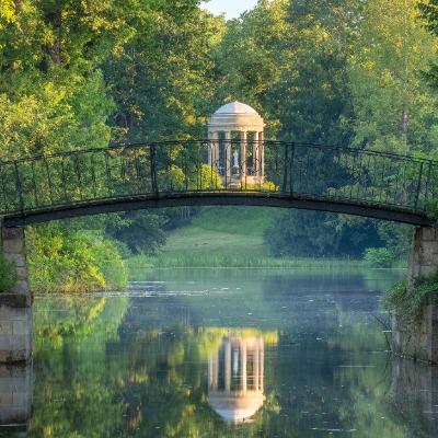 Sharon Italia Campos