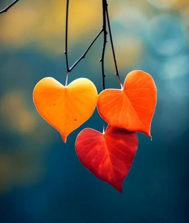 وسن سعود مجيد