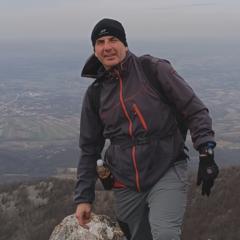 Srdjan Gavrilovic