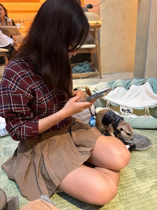 賴 凱蕙
