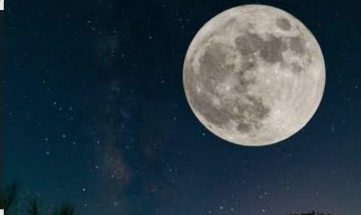 Maria Carrillo Castro