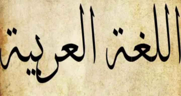 Really Learn Arabic!