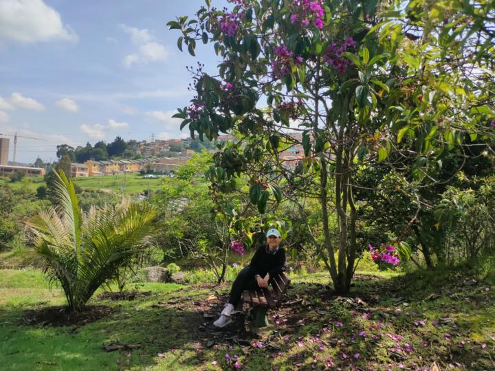 🌳Día para la naturaleza 🌸 