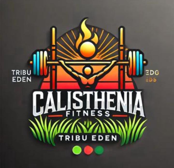 NUESTRO GRUPO!! 👉CALISTENIA FITNESS TEAM!💪