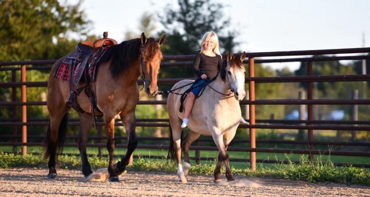 Paisleys Ponies Training/Sales