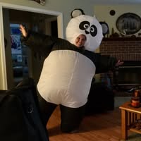 Manda Panda