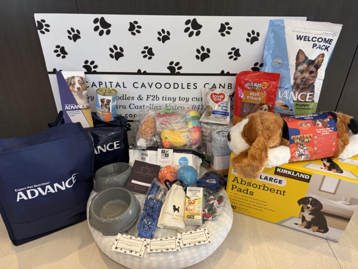 Puppy Packs available to pick up today🐶❤️