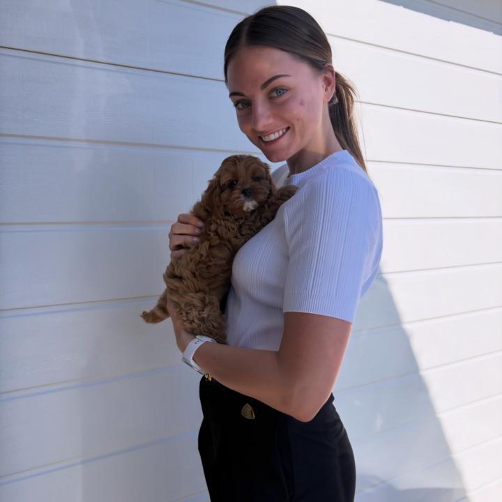 Puppy home time.