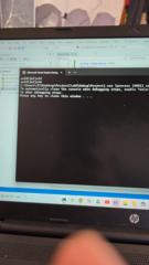 هنس نسنستسع