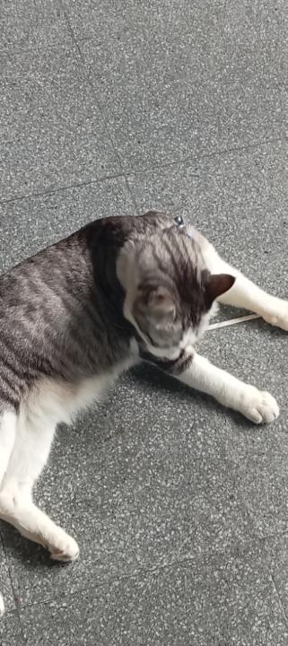 Chadaporn Namoonmong