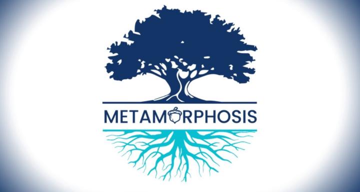 Metamorphosis Collective 