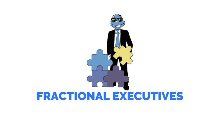 BT - FRACTIONAL EXECUTIVES