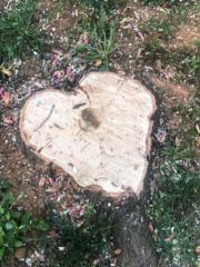 Heart in the Garden
