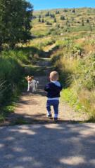 Цветелина Пешкова