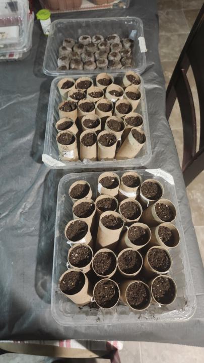 Tube or not Tube There is no question...