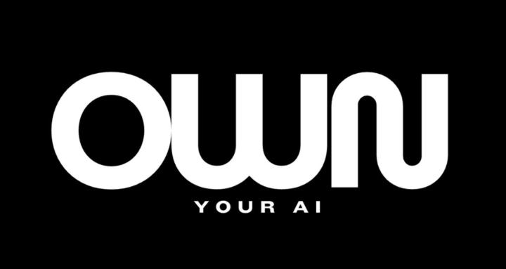 Own Your Brand's Ai 