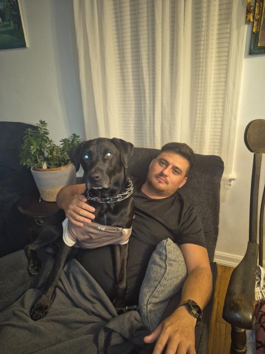 Carlos Alfredo Munoz colmenares