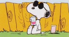 Snoopy Doo